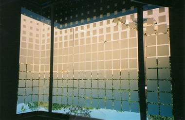 sandblast designs with Klingshield window film